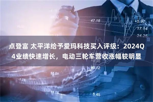 点登富 太平洋给予爱玛科技买入评级：2024Q4业绩快速增长，电动三轮车营收涨幅较明显