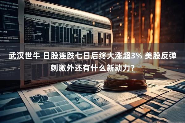 武汉世牛 日股连跌七日后终大涨超3% 美股反弹刺激外还有什么新动力？