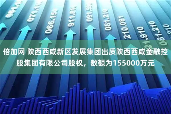 倍加网 陕西西咸新区发展集团出质陕西西咸金融控股集团有限公司股权，数额为155000万元