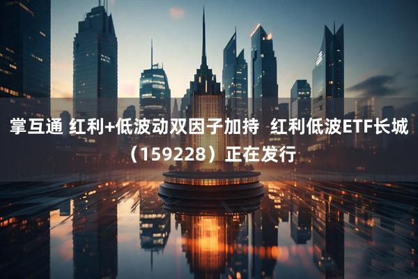 掌互通 红利+低波动双因子加持  红利低波ETF长城（159228）正在发行