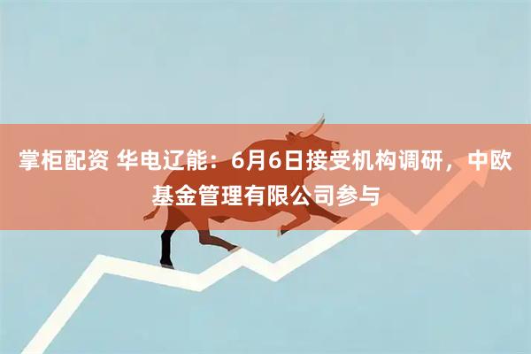 掌柜配资 华电辽能：6月6日接受机构调研，中欧基金管理有限公司参与
