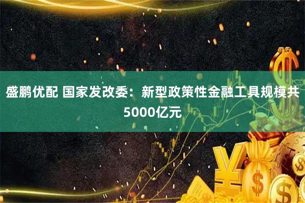 盛鹏优配 国家发改委：新型政策性金融工具规模共5000亿元