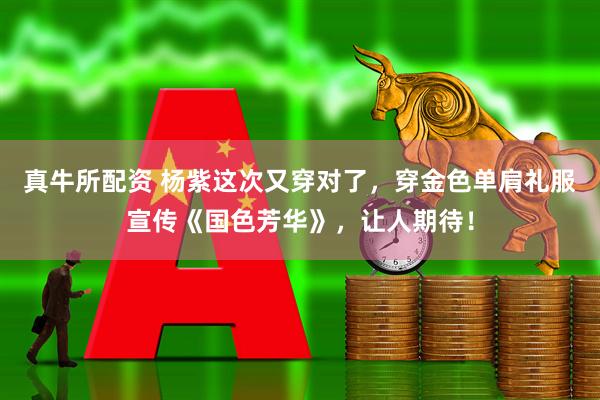 真牛所配资 杨紫这次又穿对了，穿金色单肩礼服宣传《国色芳华》，让人期待！
