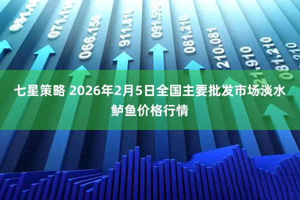 七星策略 2026年2月5日全国主要批发市场淡水鲈鱼价格行情