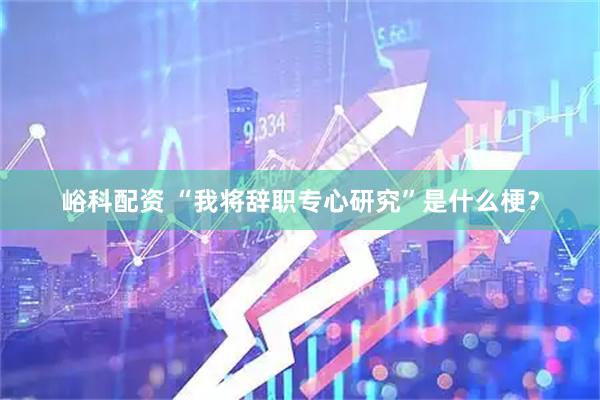 峪科配资 “我将辞职专心研究”是什么梗？
